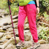 Quick-drying pants womens sports thin toe summer loose mountaineering hiking trousers outdoor casual Harlan small foot pants