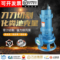 Shanghai peoples cutting sewage pump mud septic tank manure sewage pump with knife cutting pump three-phase 380V