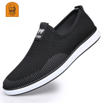 Old head casual mens shoes 2020 Spring New breathable mesh shoes sports flying shoes men old Beijing cloth shoes men