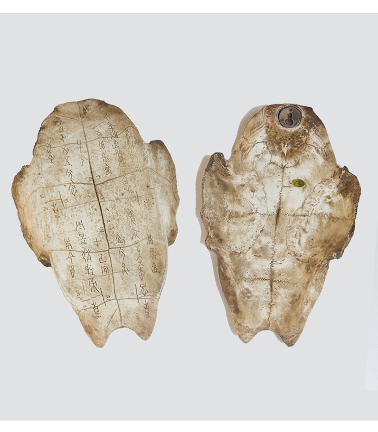 甲骨文龟壳个性装饰甲骨文软装树脂配件古玩古玩学道杂项精美学校