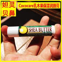 American Cococare Shea Butter lip balm lips open crease air-dried moisturizing nourishment