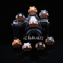 Cute begging for bag Cat Creative Cartoon Hot Boots Cover Camera Cartoon Canon Foxoni Sony Ricoh accessories