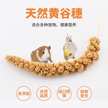 Parrot Bird Food Bird Food Valley Ears Interactive snacks with shell Huanggu Zixuan Phoenix Tiger Leather Pearl Wenbird Feed 200G