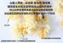 100g Tremella Tremella grown in dry wild environment