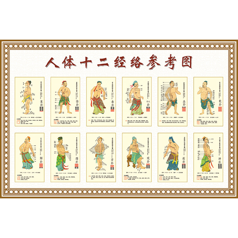 十二经络图十四经络中医养生推拿针灸人体穴位经络挂图海报定制