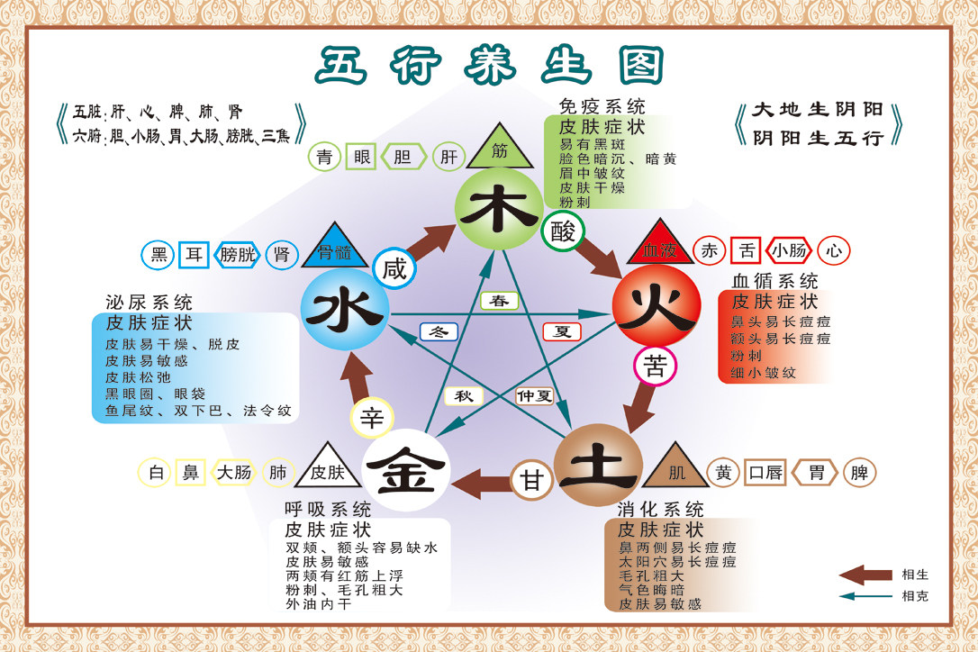 中医阴阳五行图解贴画中医养生文化知识宣传美容院海报挂图画墙贴