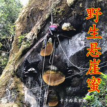 Yunnan Dehong Wild Cliff Honey Rock Honey 500g