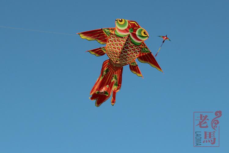 亮布四翅金鱼风筝 2017新款 厂家直批 金鱼风筝 鲤鱼风筝 荷花鱼_双氙