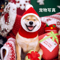 Dalian pet photography Christmas photo shoot
