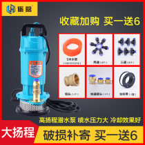 Sculpture machine submersible pump single phase electric 220V machining center water pump high lift high flow spindle cooling submersible pump