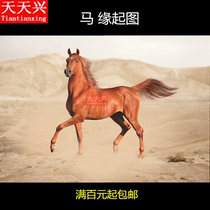 Tiantian Xingma origin map Pour lotus pond with the same origin map to provide for marriage burning to pray for paper burning