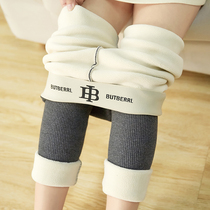 Extra thick lambskin thread gray leggings womens cotton high waist wear velvet thickened autumn and winter warm cotton pants