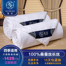 Tongxiang pure handmade silk quilt 100% mulberry silk quilt net weight 2 4 Jin winter warm two-in-one comfortable type