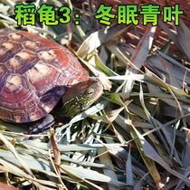 Green leaf tortoise hibernation supplies moisturizing Moss reptile pet mat flame Dongjin round Australian grass insulation soil coconut soil