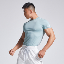 OMG Tide brand nylon high elastic fitness clothes mens training short sleeve Ice Silk quick-drying tight sports T-shirt summer