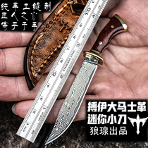 Knife self-defense military knife short knife hanging key collection mini knife Damascus steel knife outdoor knife