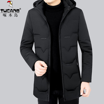 Woodpecker down jacket mens winter new green and middle-aged white duck down jacket casual mid-length thickened dad winter clothes