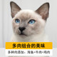Step Crown Universal Cat Food British Short Blue Cat Siamese Muppet Adult Cat Kitty Universal 5 kg Natural Cat Food 2.5kg Step Crown Universal Cat Food British Short Blue Cat Siamese Muppet Adult Cat Kitty Universal 5 kg Natural Cat Food 2.5kg