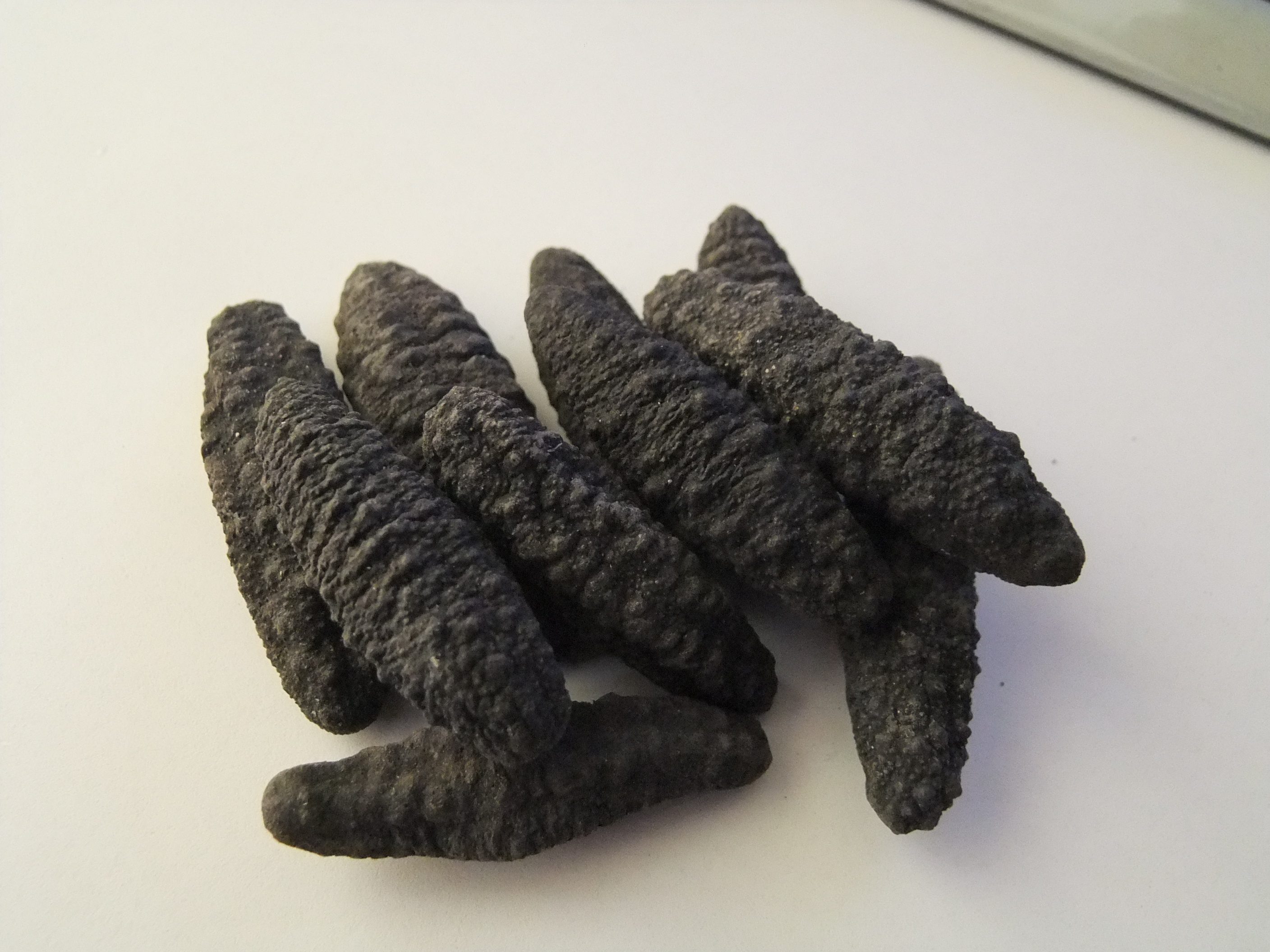 500克冰岛米刺参雪参小黑参进口野生土耳其欧洲长崎北极南美.