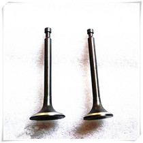 Gasoline engine G100 GX100 120 160 200 270 390 620 670 intake and exhaust valve combination