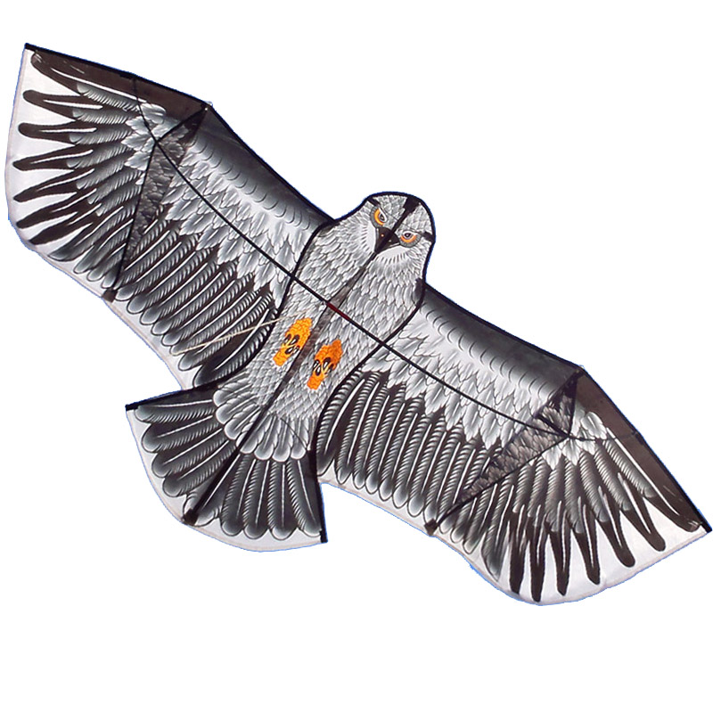 the eagle weifang kite kite Baxter into people's congress (NPC) steel eagle golden eagle children breeze easygroup