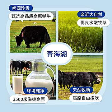 【首单】青海湖高原纯牛奶200g*12盒[30元优惠券]-寻折猪