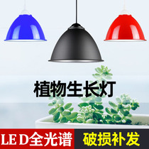 Philips fleshy color full spectrum led Plant Growth Light seedling imitation Sun orchid flower grass vegetable