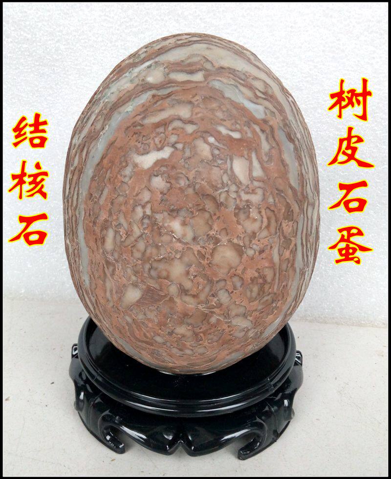 精品结核石石蛋树皮石蛋恐龙石蛋原石摆件纹理石奇石收藏他山石头