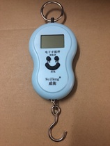 (With luminous) Portable hand-in-hand lifting scale Electronic scale Hook scale Express scale Hanging scale portable scale (40KG 10g)