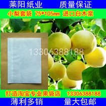 High quality fruit bagged strawberry loquat pear cherry plum passion fruit Persimmon apricot Melon Pomegranate