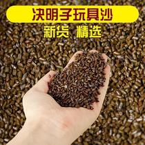 Childrens Cassia toys sand pool set home bulk pillow core 20kg Children Baby Beach play sand