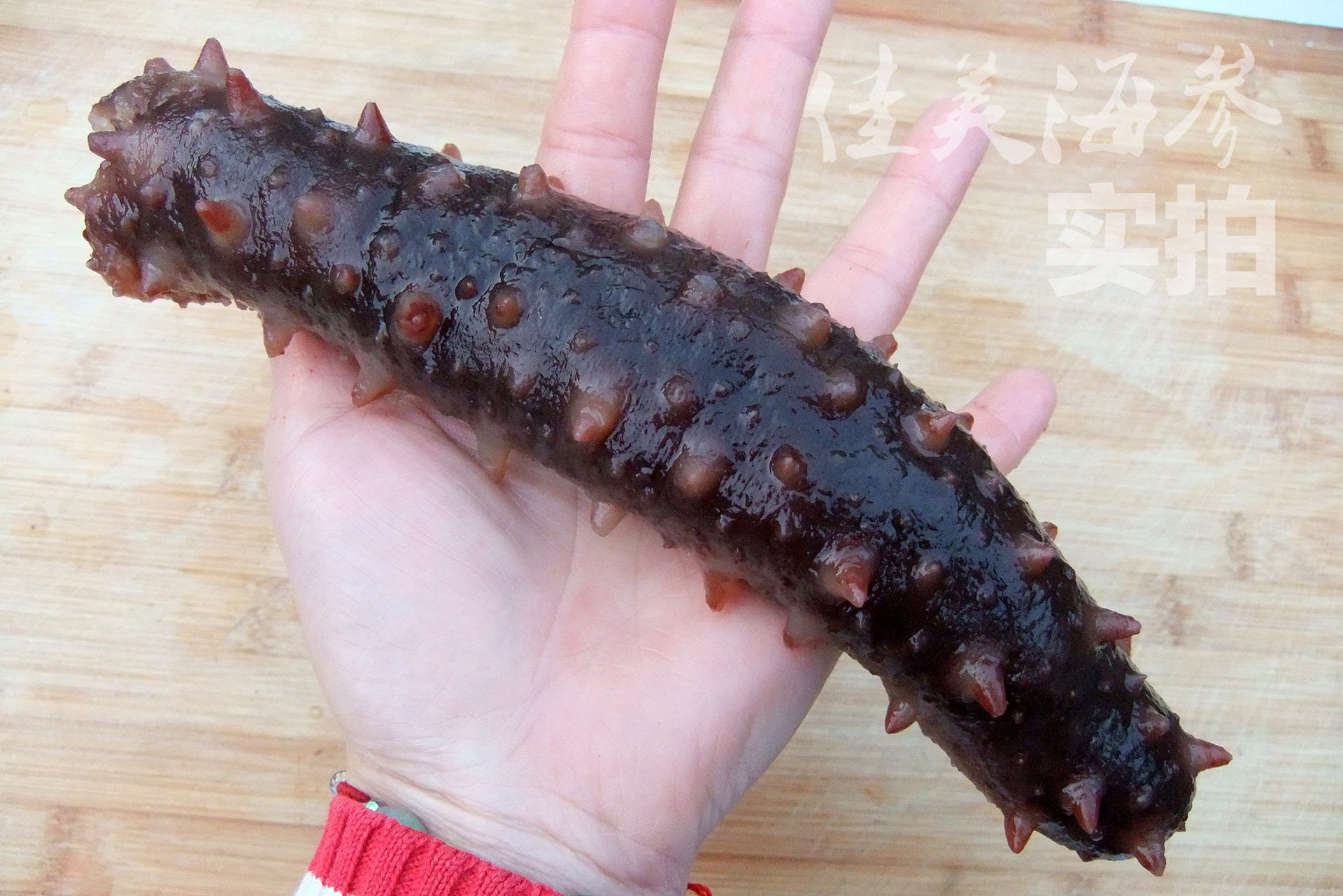 美国红参 阿拉斯加红参 加州刺参进口野生淡干海参100克