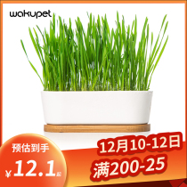 Cat grass seeds cat supplies cat snacks mint powder natural wheat planting set cat hair ball cat grass
