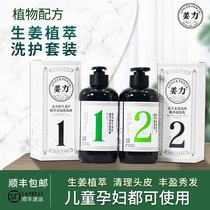 New packaging ginger ginger shampoo oil control itching hair and healthy hair native ginger juice counter washing suit