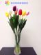 Fashion home gardening hydroponic lucky bamboo vase of dried flowers simulation flower vase vase glass vase free shipping Fashion home gardening hydroponic lucky bamboo vase of dried flowers simulation flower vase vase glass vase free shipping