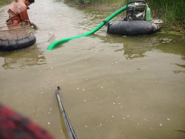 鲜活红虫天津特大号公红虫母虫红虫活饵拉饵鱼饵鲫鱼必杀包邮