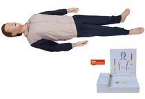 General Heart Recovery Simulation of False Man Simulation Medical First Aid Dummy Model School Training Simulation of Dummy