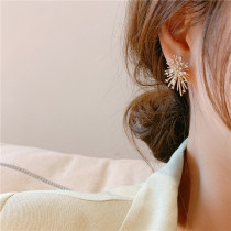 Korean net celebrity 2020 new earrings 925 silver needle beautiful rhinestone temperament high-end sense earrings earrings female jewelry