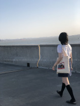 AL homemade Prague cloth bag printed canvas bag summer new Europe and the United States ins popular wild womens bag 2021