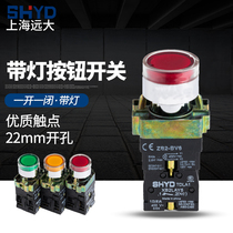 Shanghai lofty LAY5-11D button switch self-reset with lamp 24V 220V 380V