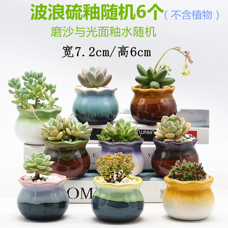 Korean fleshy flowerpot coarse TaoLiu basin character miniature ceramic glaze, thumb flowerpot breathable flower pot