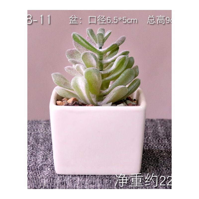 False flower small potted plant simulation, fleshy False fleshy white ceramic flower pot furnishing articles home office desktop