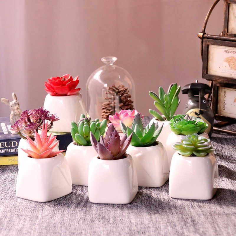 False flower small potted plant simulation, fleshy False fleshy white ceramic flower pot furnishing articles home office desktop