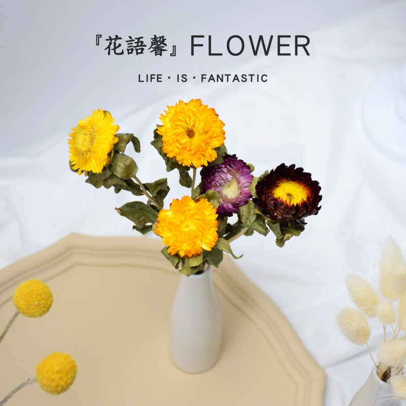 To embellish the Daisy flower bouquet little bunch of mini rose decorative furnishing articles Nordic ceramic vase really spend the wind