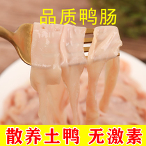 Fresh duck intestines 2 kg frozen fresh oil-free wash-in duck intestines raw buckle hot pot dry pot small skewers of ingredients(recruit agents