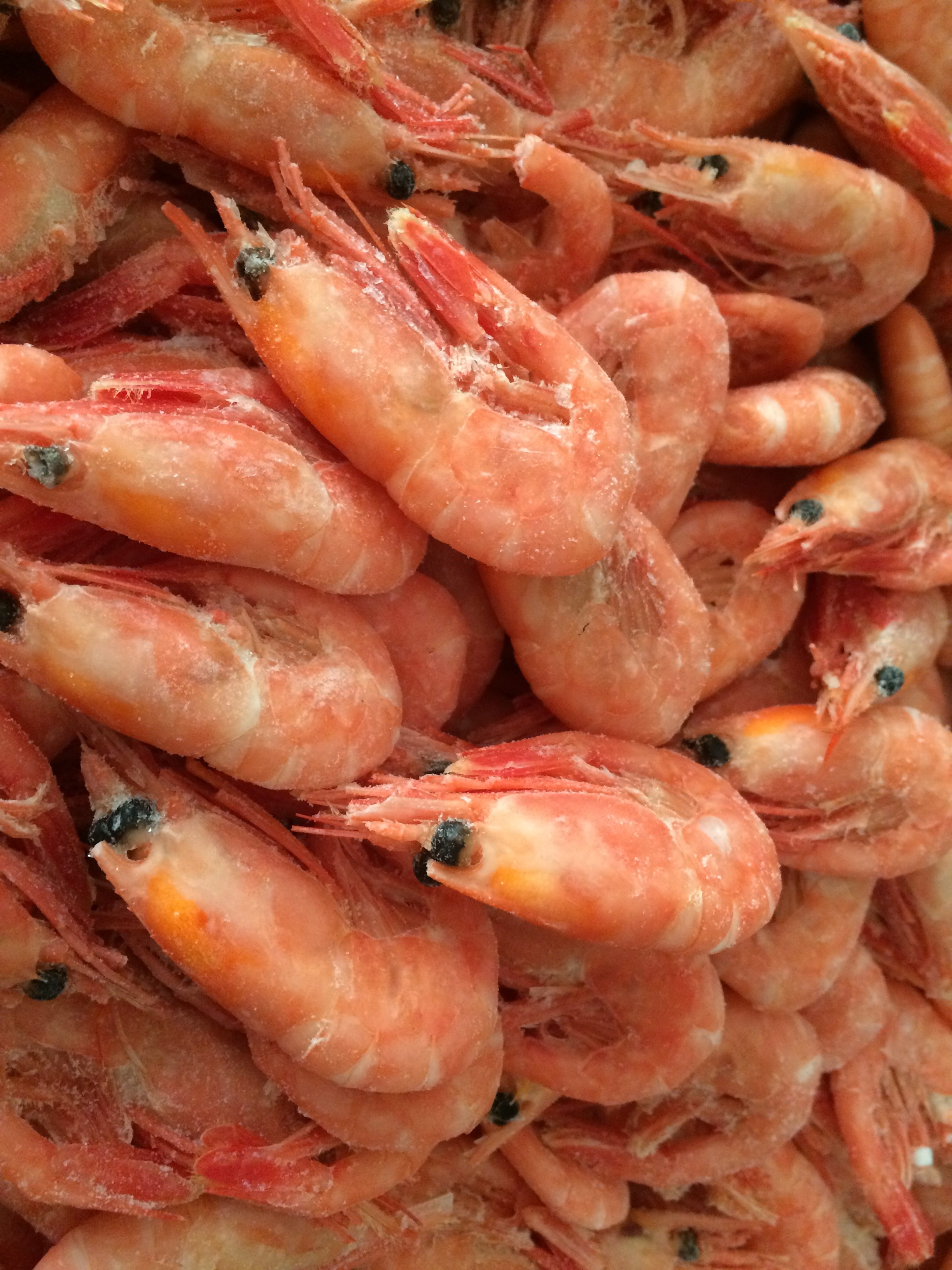 2016北极虾,头籽虾(规格90-120沈阳市区包邮)