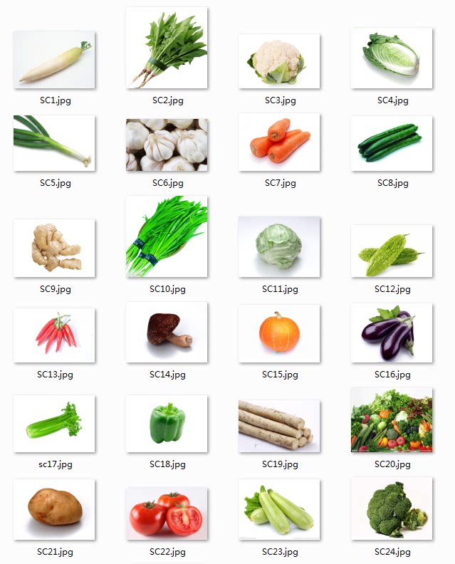 自闭症孤独症aba教学实操卡片蔬菜卡片儿童康复训练教具