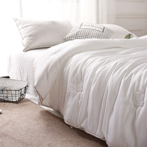 European high-grade Tencel embroidery spring and autumn quilt microfiber double skin-friendly quilt core soft silky quilt