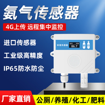 NH3 ammonia gas sensor transmitter 4-20mA breeding pork chicken toilet ammonia gas concentration gas RS485