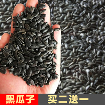 Hamster snacks small black melon seed oil sunflower small pet grain squirrel parrot bird food pearl raw melon seed 100G package